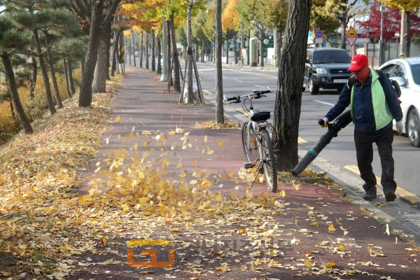 늦가을 낙엽은 도시 미관을 해치는 주범이다. 신안동 남강변 가로수길에서 한 작업자가 송풍기를 메고 흐드러진 낙엽들을 길가로 밀어내고 있다. 사진=박청기자
