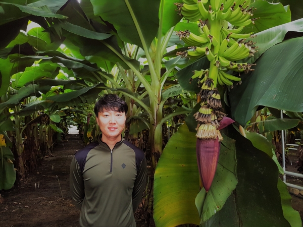 35세 젊은 농부 강승훈씨는 육지에서 1호로 바나나농사를 짓고 있다.