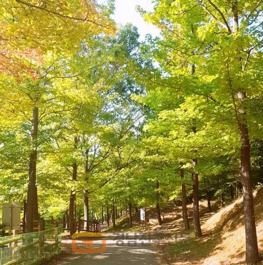 진주시 이반성면 수목원로 386에 위치한 경상남도수목원에 만연한 가을이 찾아왔다.