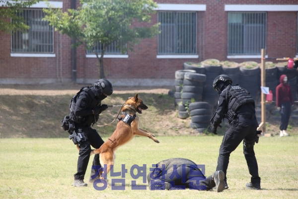 ▲ 경남경찰특공대가 대테러 전술 시범을 선보이고 있다.
