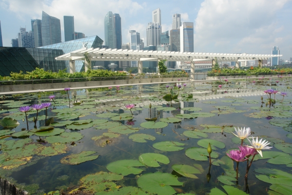 공원과 정원의 도시, 싱가포르 마리나 베이