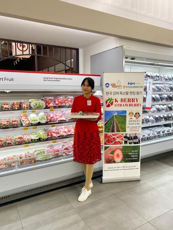 김해 딸기 인도네시아 자카르타 판촉 행사 사진